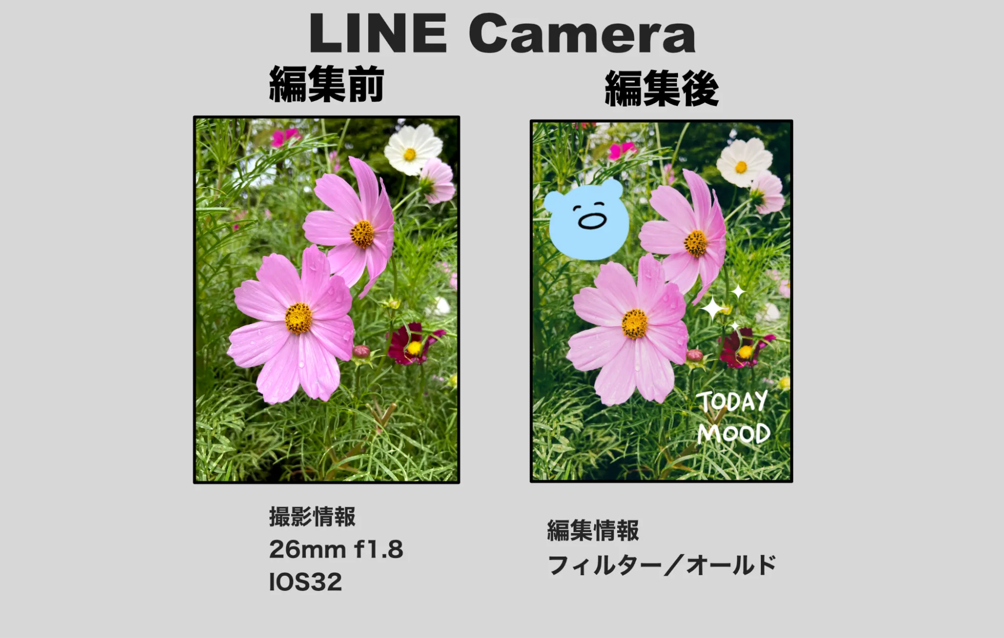 LINE Camera
